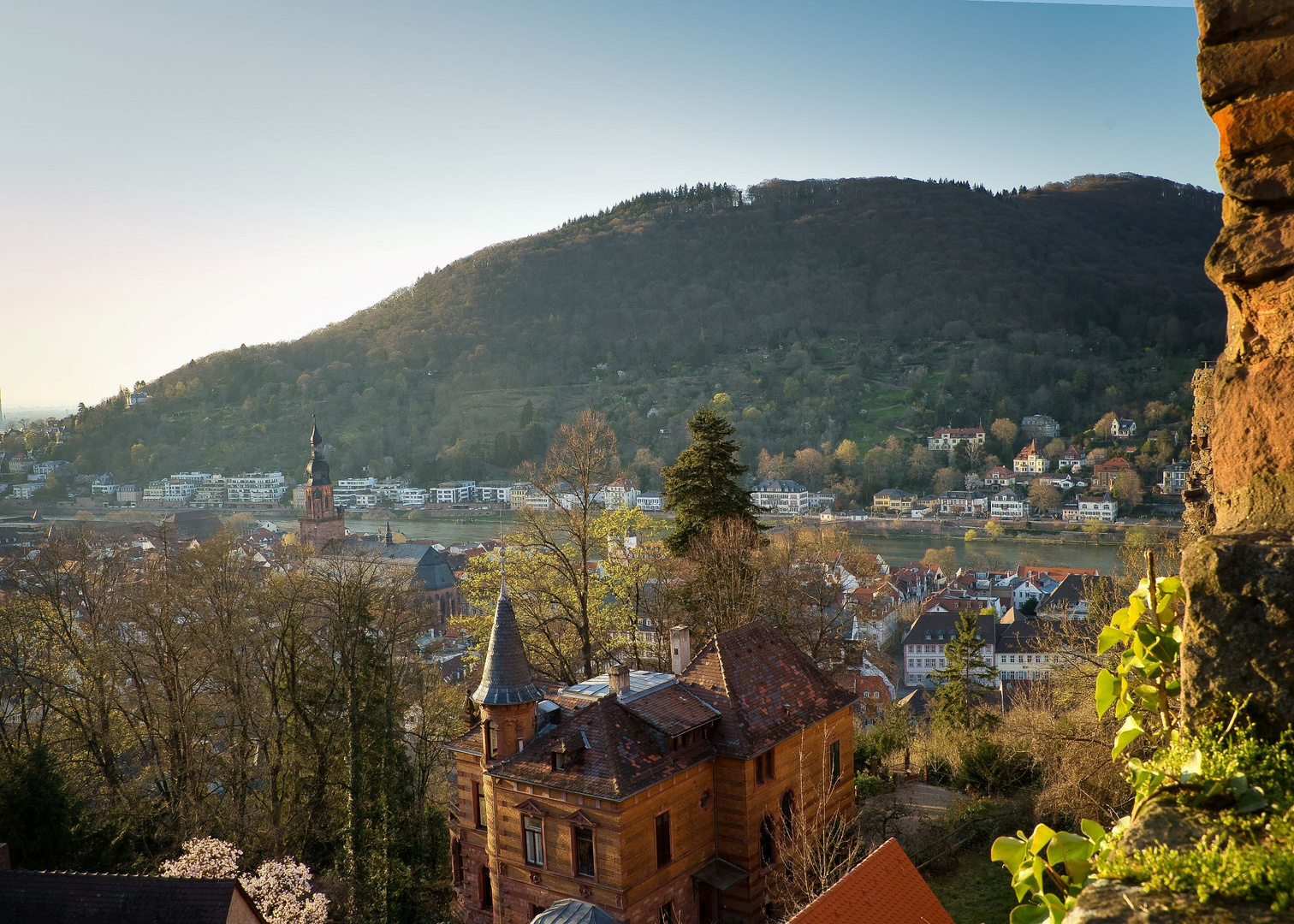 Blick vom Heidelberger Schloss