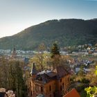 Blick vom Heidelberger Schloss