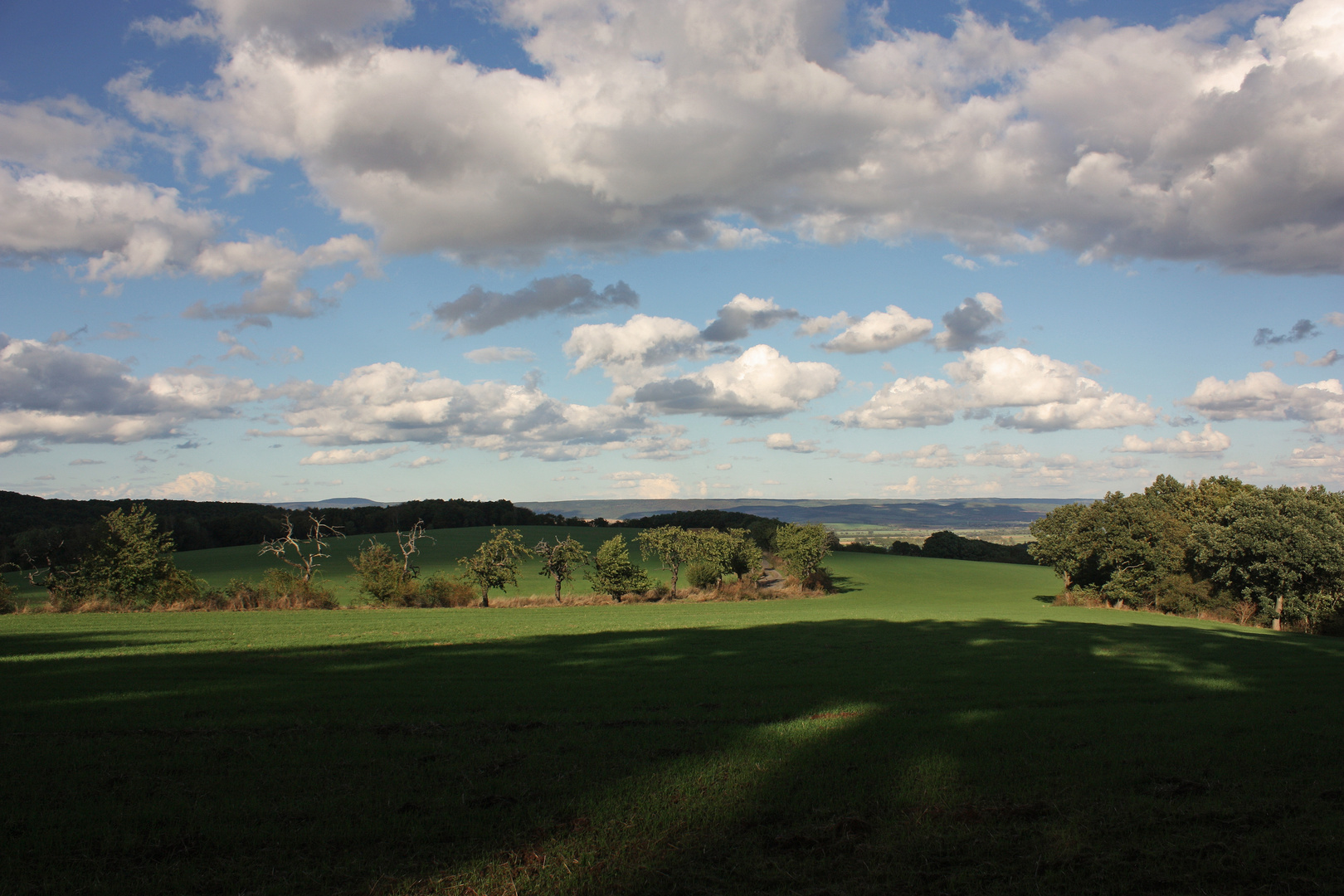 Blick vom Heidenberg Richtung Harz