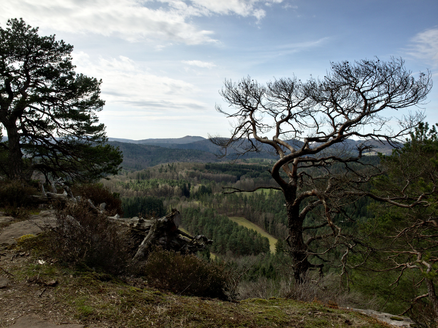 Blick vom Heidenstein (Schlüsselfelsen)