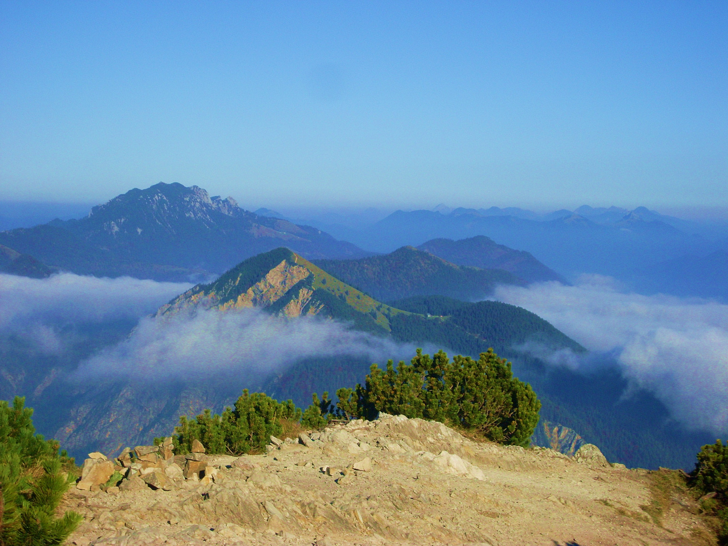 Blick vom Herzogstand über die Alpen