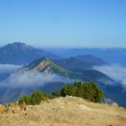 Blick vom Herzogstand über die Alpen