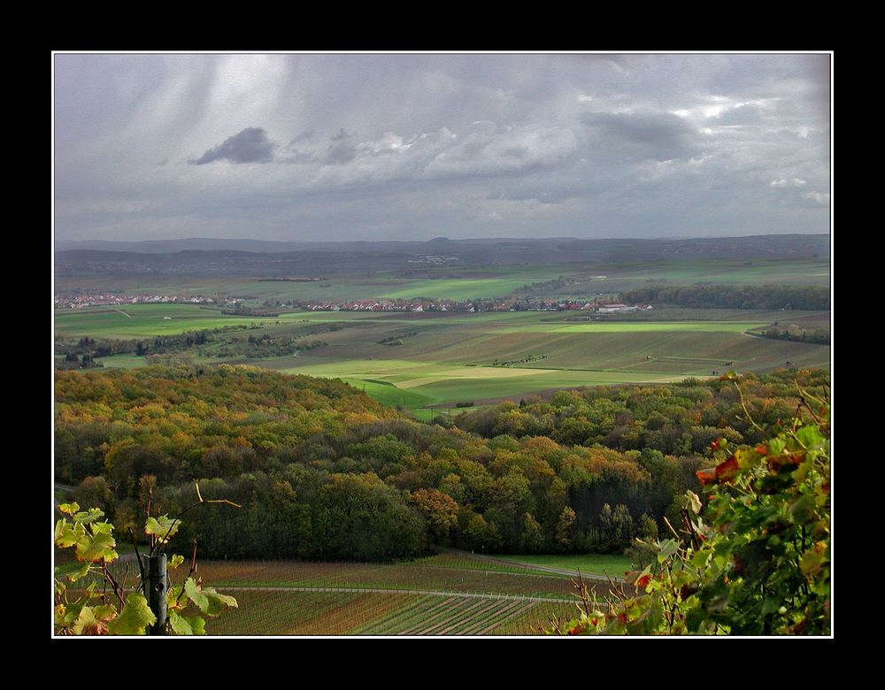 Blick vom Heuchelberg