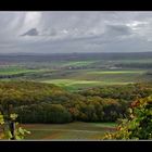 Blick vom Heuchelberg