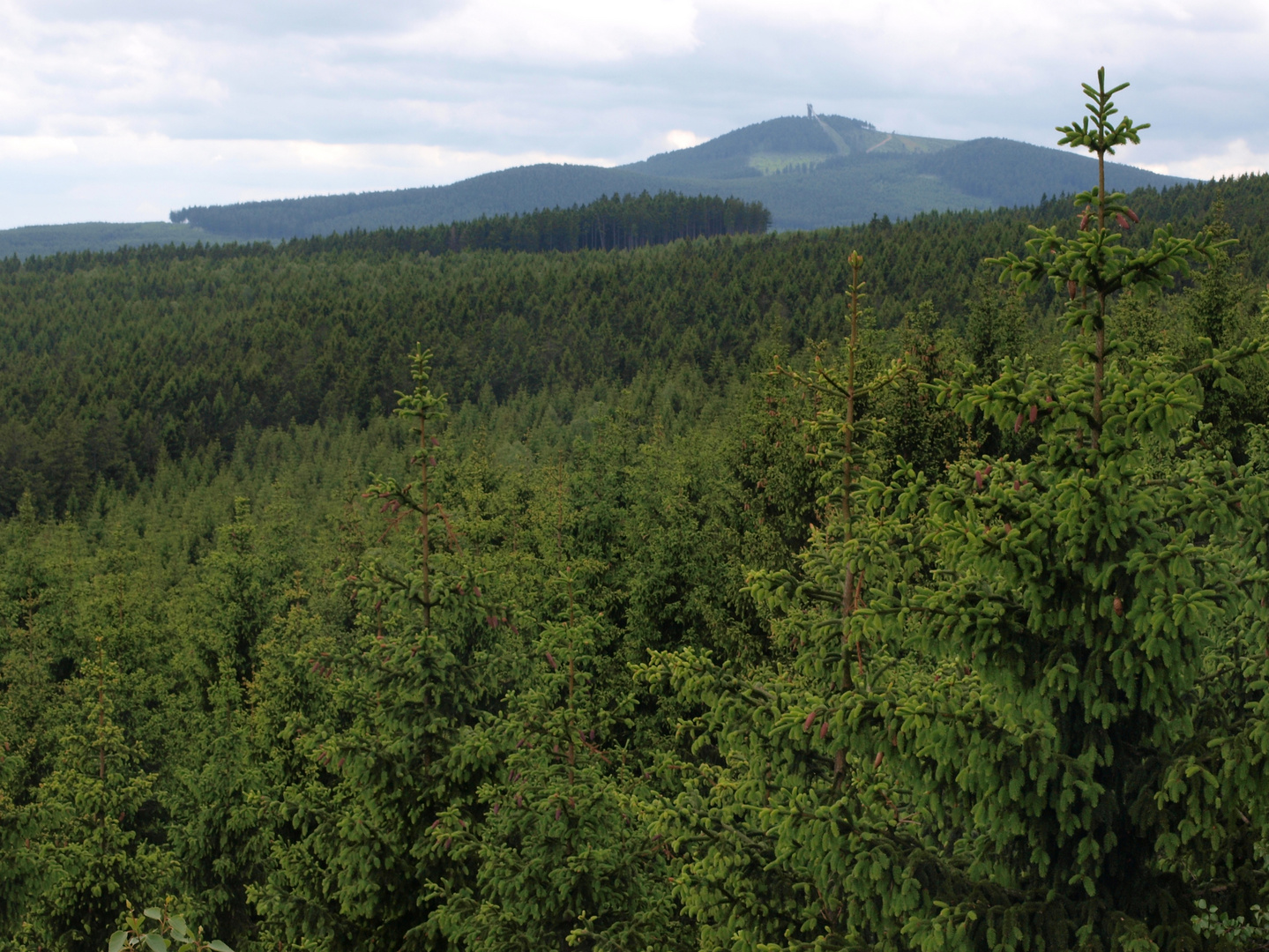 Blick vom Hexenstieg zum Wurmberg bei Braunlage im Harz