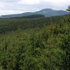 Blick vom Hexenstieg zum Wurmberg bei Braunlage im Harz