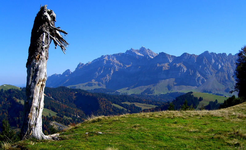 Blick vom Hinterfallenkopf zum Säntis