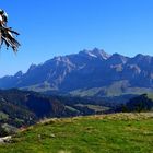 Blick vom Hinterfallenkopf zum Säntis