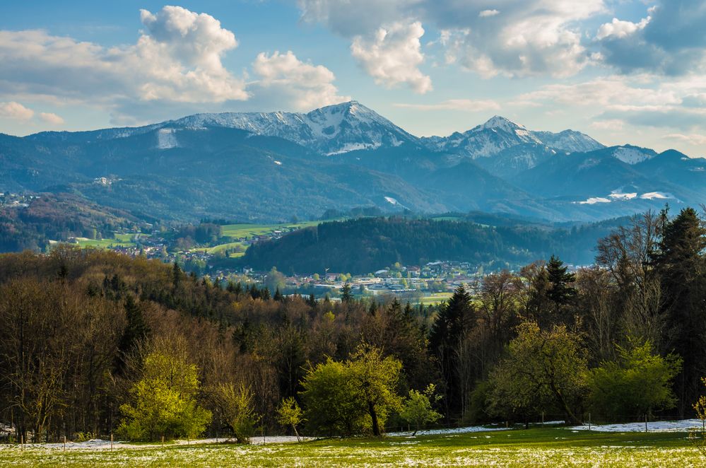 Blick vom Hochberg