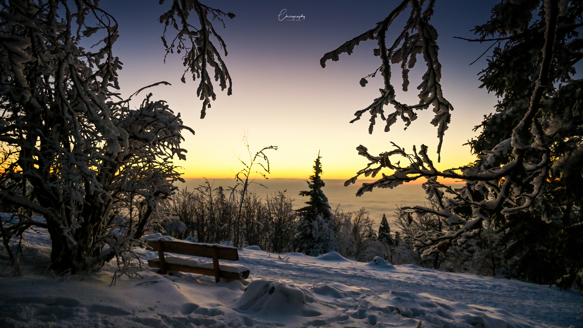 Blick vom Hochblauen