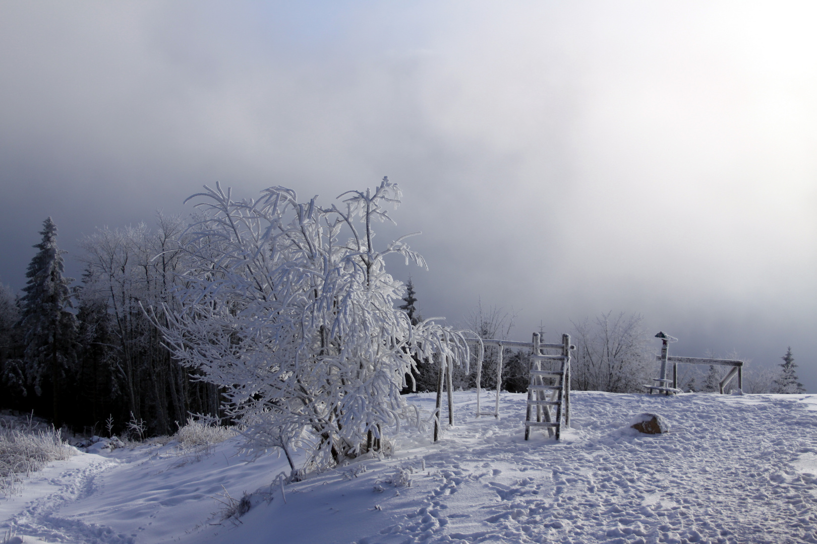 Blick vom Hochblauen in die Rheinebene Januar 2010