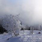 Blick vom Hochblauen in die Rheinebene Januar 2010