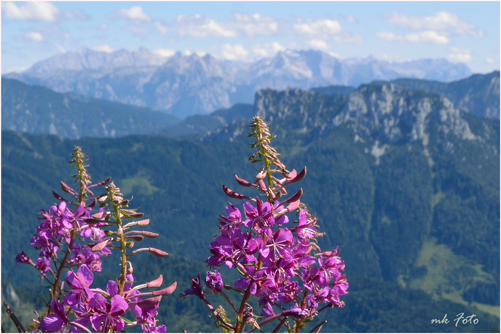 Blick vom Hochgern