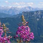 Blick vom Hochgern