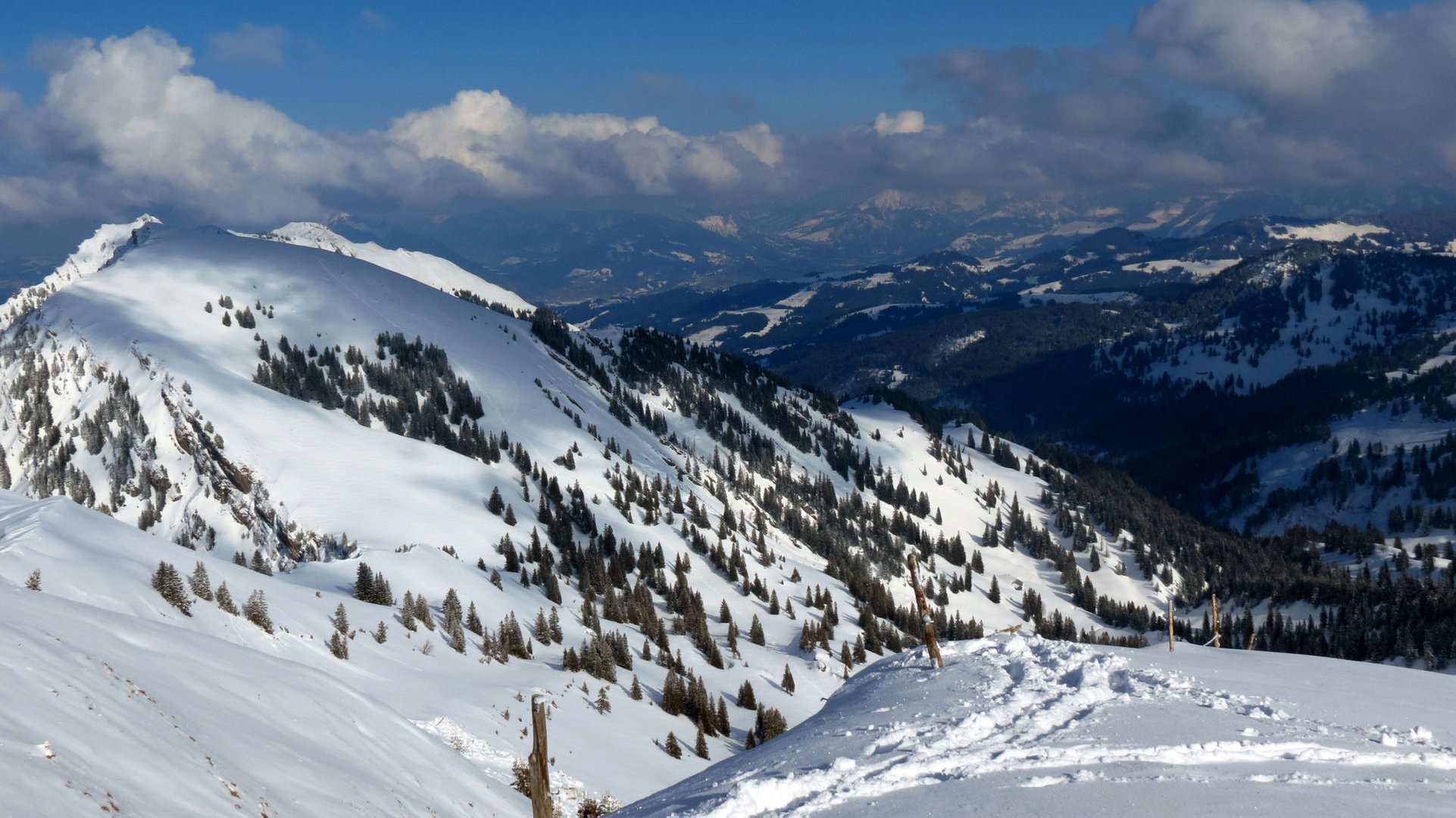 Blick vom Hochgrat aus