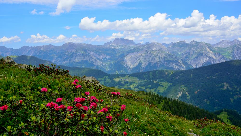 Blick vom Hochjoch (Montafon)