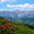 Blick vom Hochjoch (Montafon)