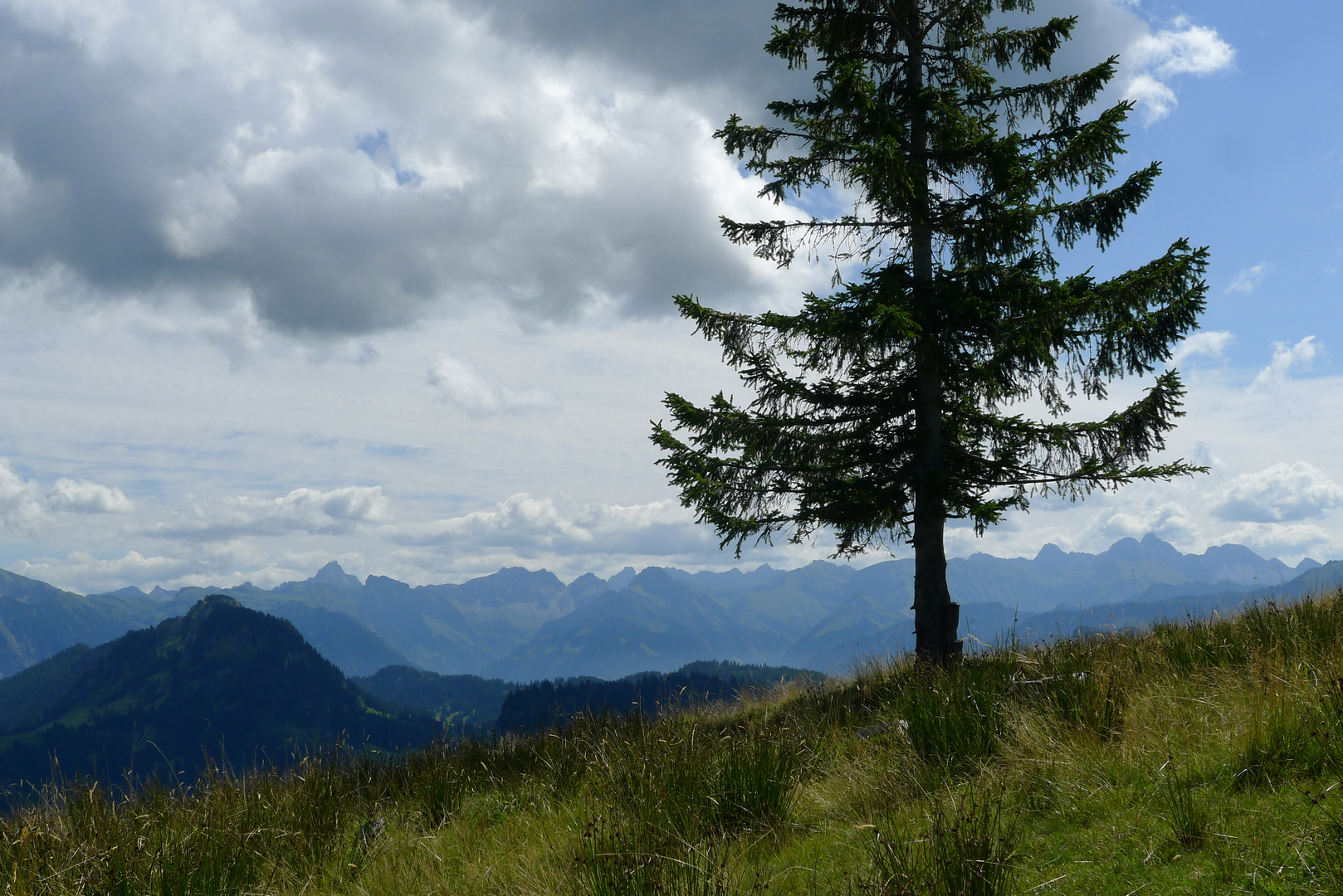 Blick vom Hochschelpen zum Allgäuer Hauptkamm