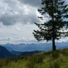 Blick vom Hochschelpen zum Allgäuer Hauptkamm