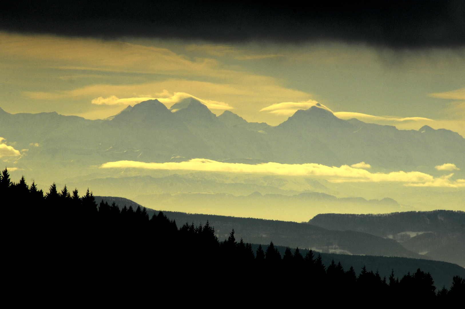 Blick vom Hochschwarzwald zu den Alpen