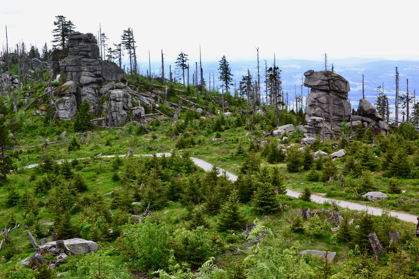 Blick vom Hochstein über den Dreisesselberg