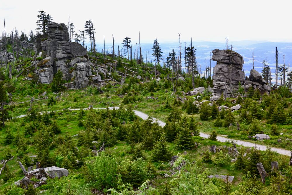 Blick vom Hochstein über den Dreisesselberg