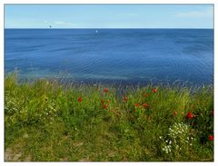 Blick vom Hochuferweg aufs Meer