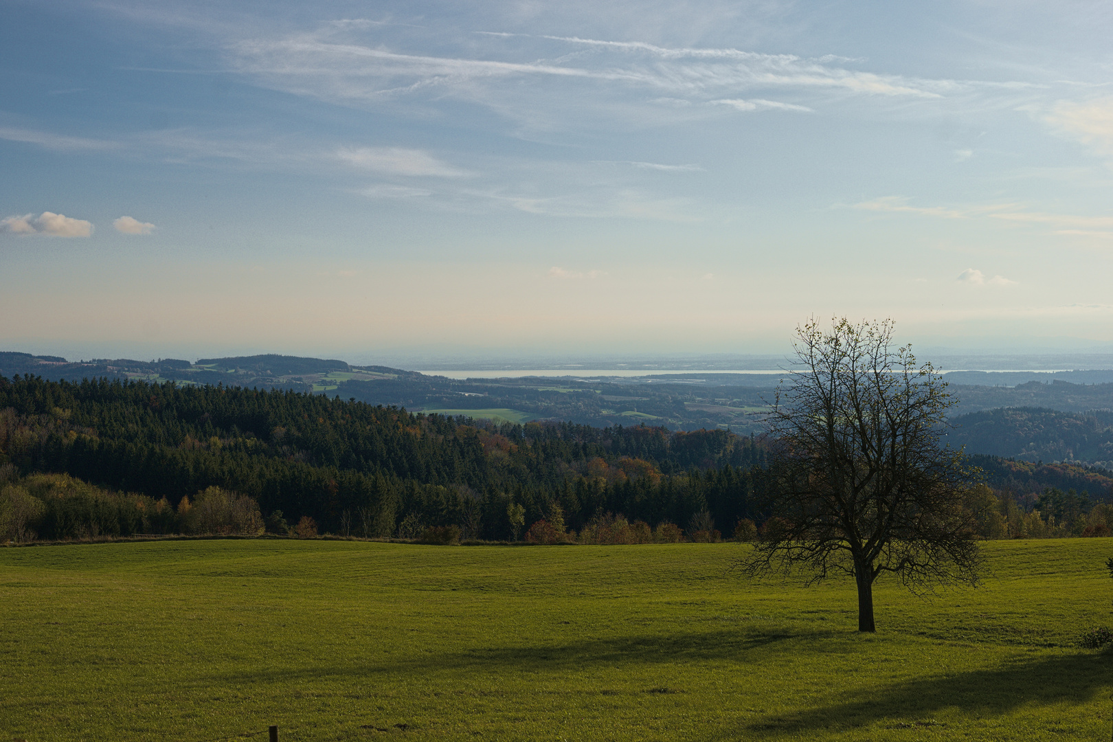 Blick vom Höchsten