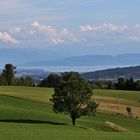 Blick vom Höchsten Richtung Bodensee