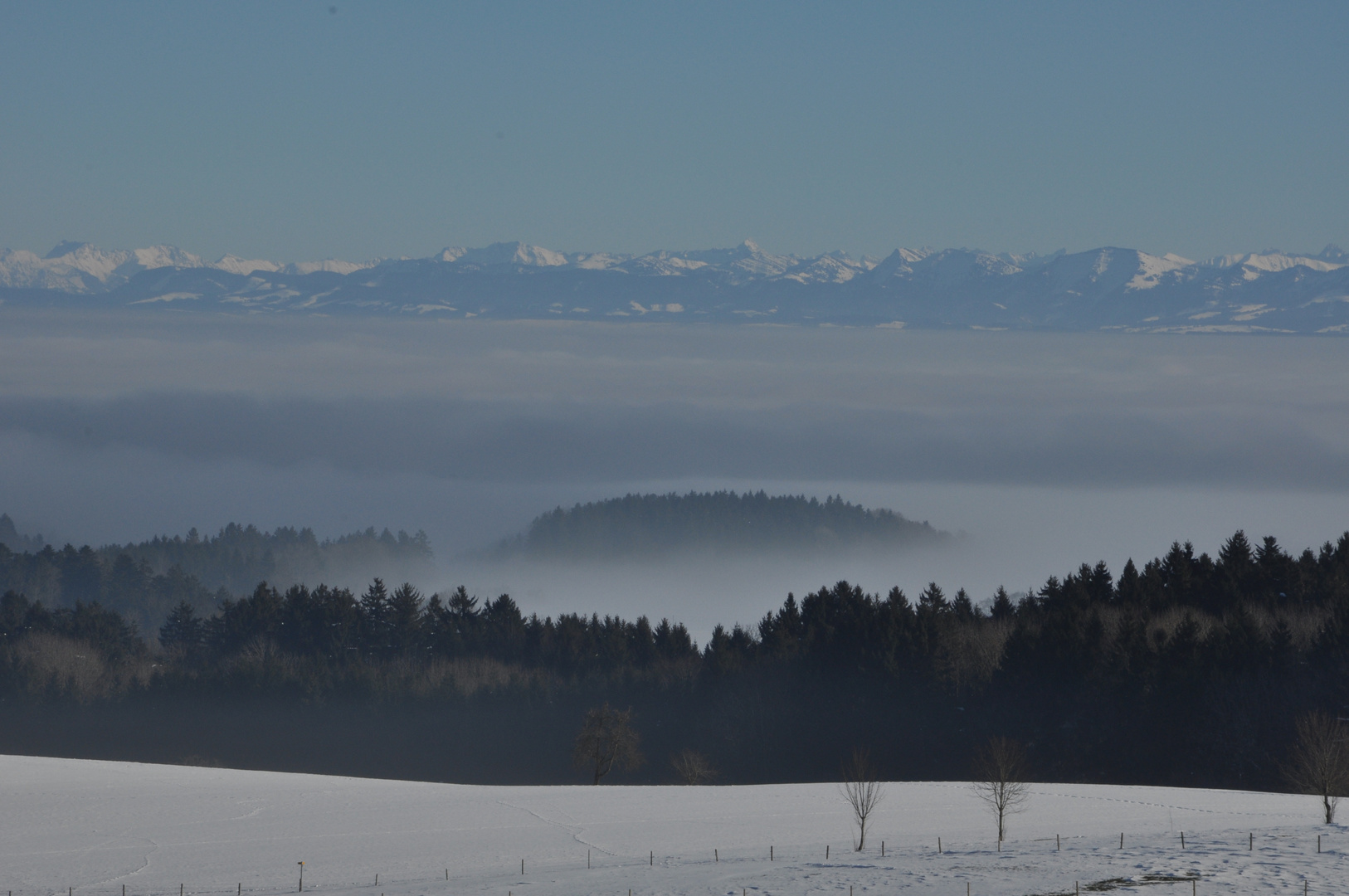 Blick vom Höchsten zu den Alpen