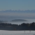 Blick vom Höchsten zu den Alpen