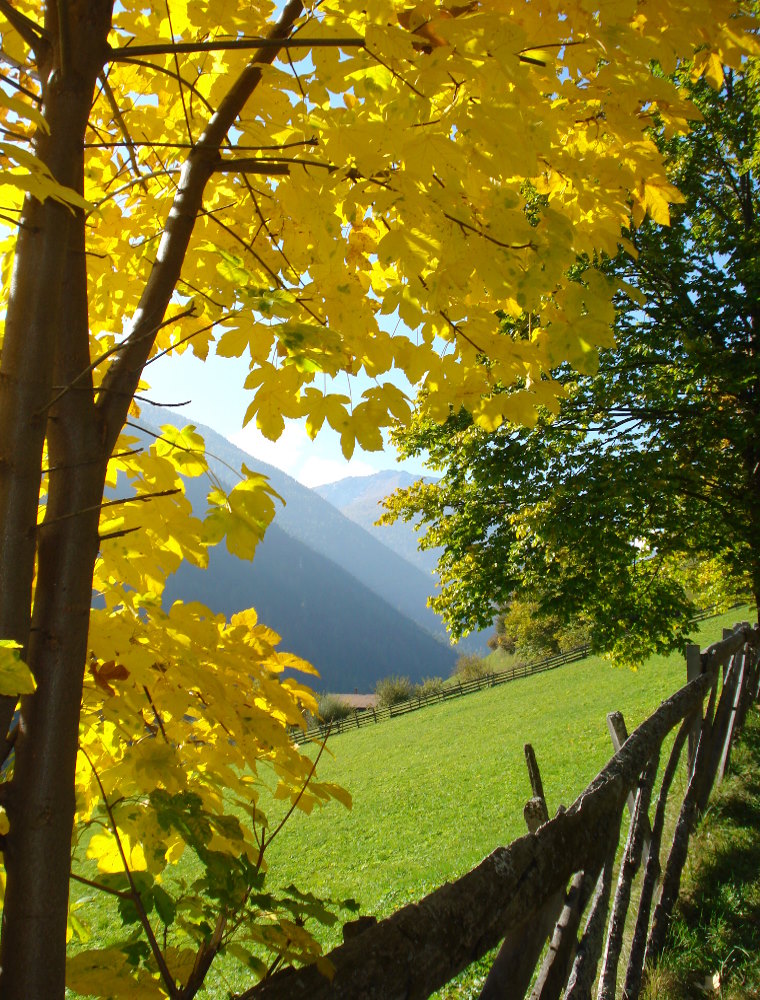 Blick vom Höfeweg im herbstlichen Ultental - 200810