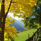 Blick vom Höfeweg im herbstlichen Ultental - 200810