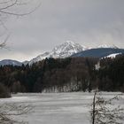 Blick vom Höglwörther See auf den Hochstaufen 