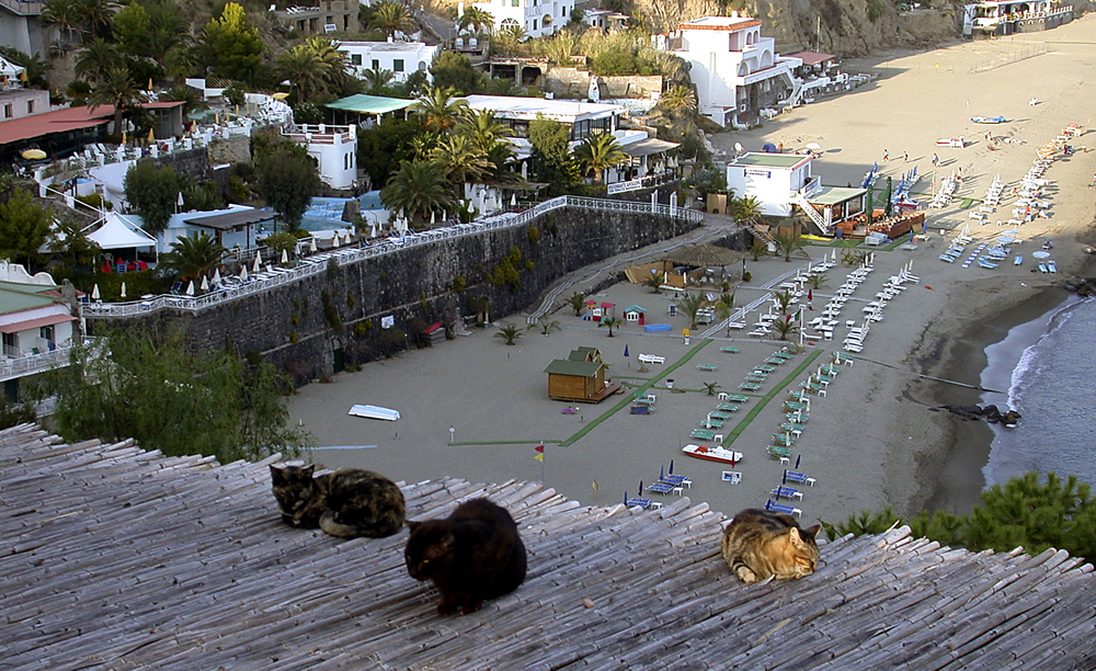 Blick vom Höhenweg in St. Angelo (Ischia) auf den Strand