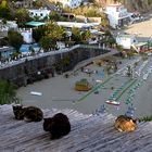 Blick vom Höhenweg in St. Angelo (Ischia) auf den Strand