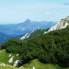 Blick vom Höllengebirge auf den Traunsee und den Traunstein