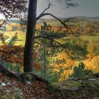 Blick vom Höllstein