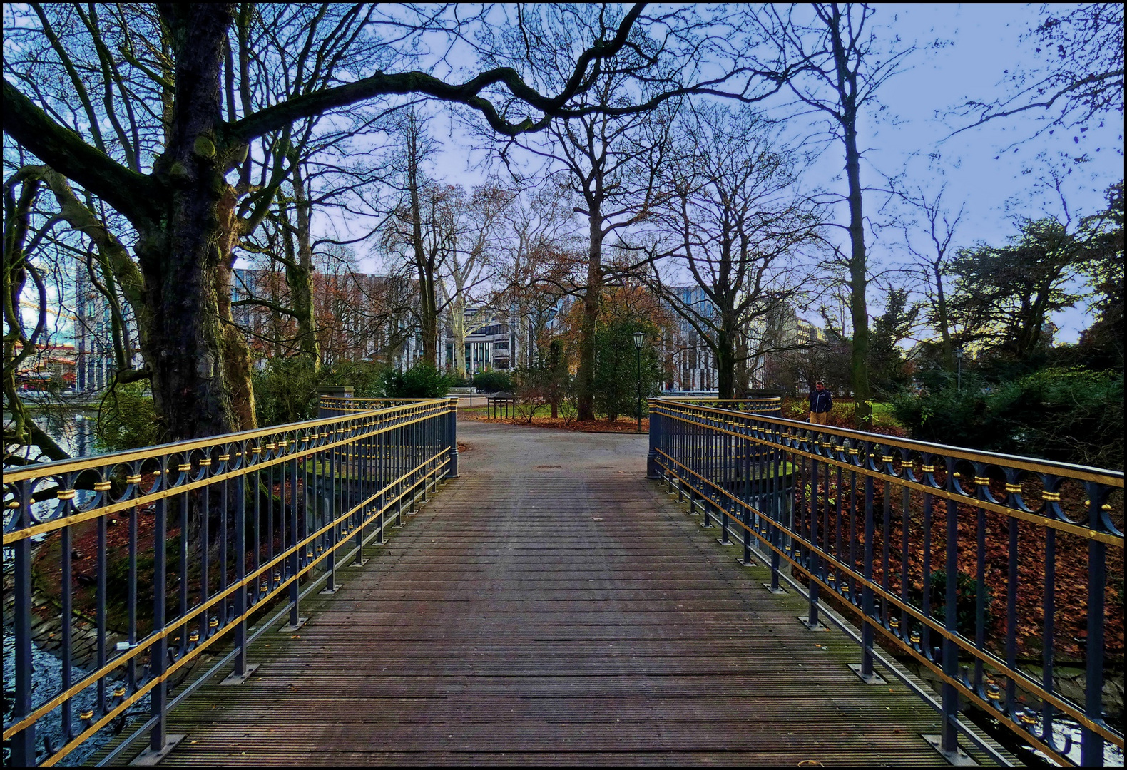 Blick vom Hofgarten zum Kö-Bogen