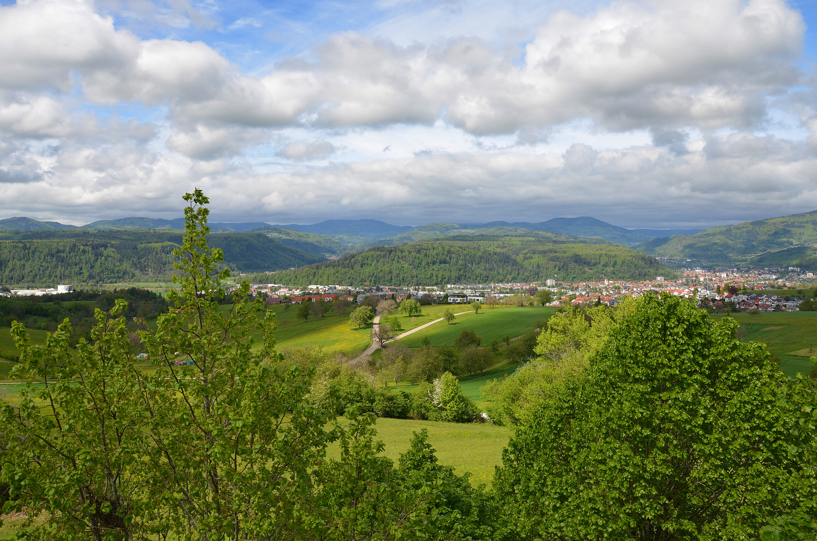 Blick vom Hohe Flum Turm