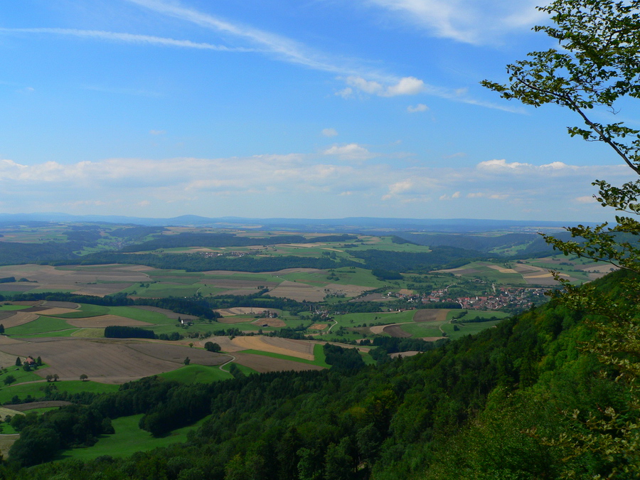 Blick vom "Hohen Randen" über das Wutachtal