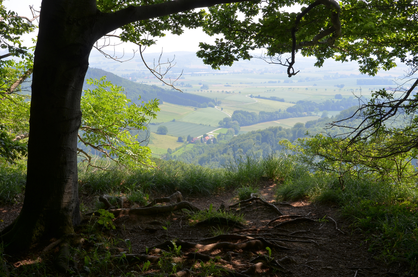 Blick vom Hohenstein bei Hessisch Oldendorf Foto & Bild deutschland