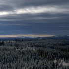 Blick vom Hohlohturm richtung Hornisgrinde