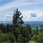 Blick vom Holmenkollen