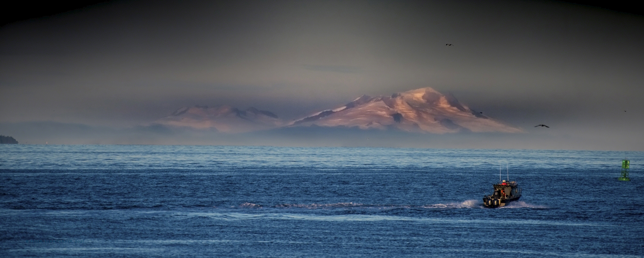 Blick vom Homer Spit auf die Alaska Range