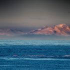 Blick vom Homer Spit auf die Alaska Range