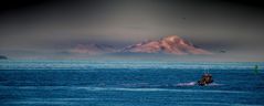 Blick vom Homer Spit auf die Alaska Range