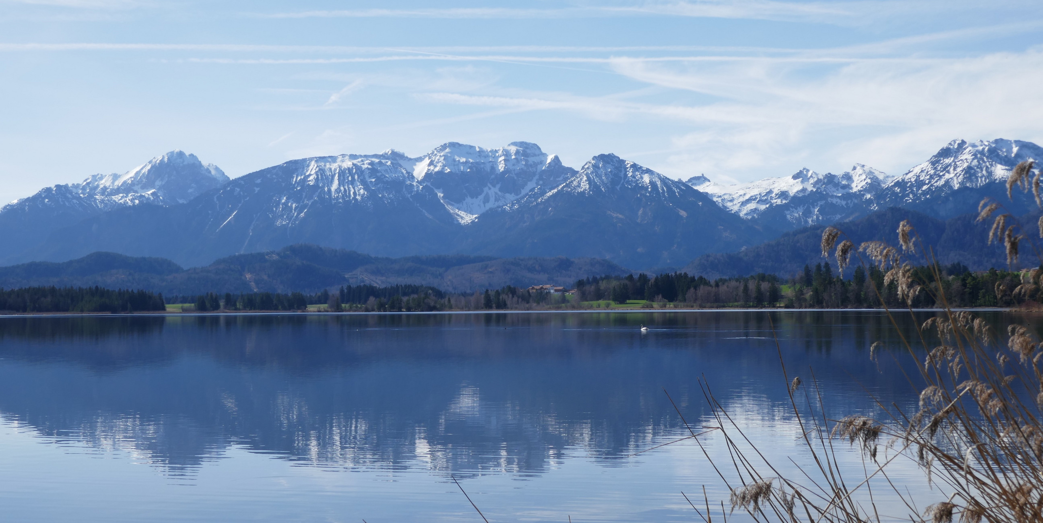 Blick vom Hopfensee ins Gebirg