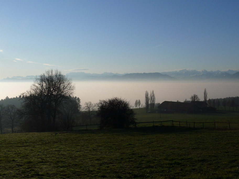 Blick vom Horben Richtung Zug (unter der Nebeldecke)