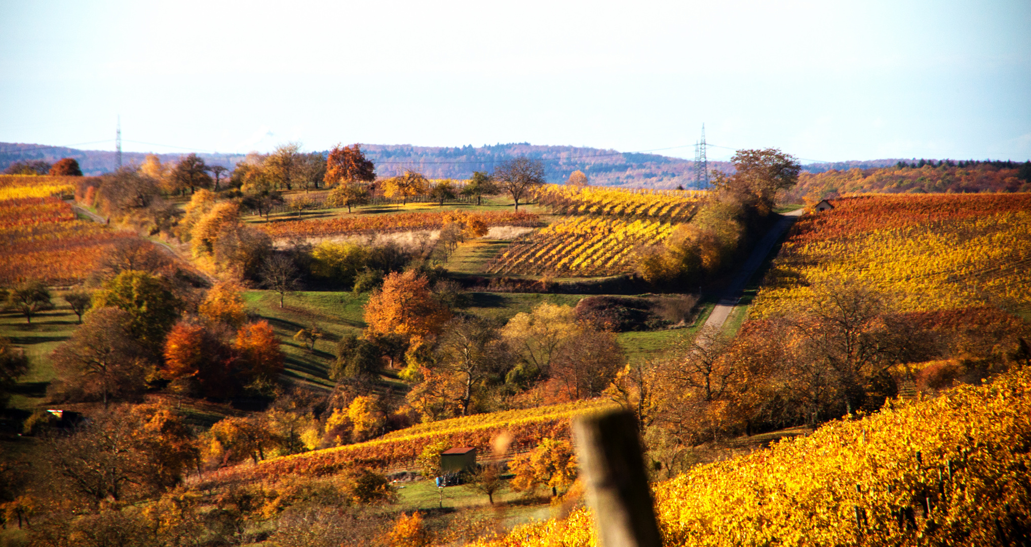 Blick vom Horn